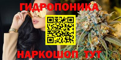сатива Рыбинск