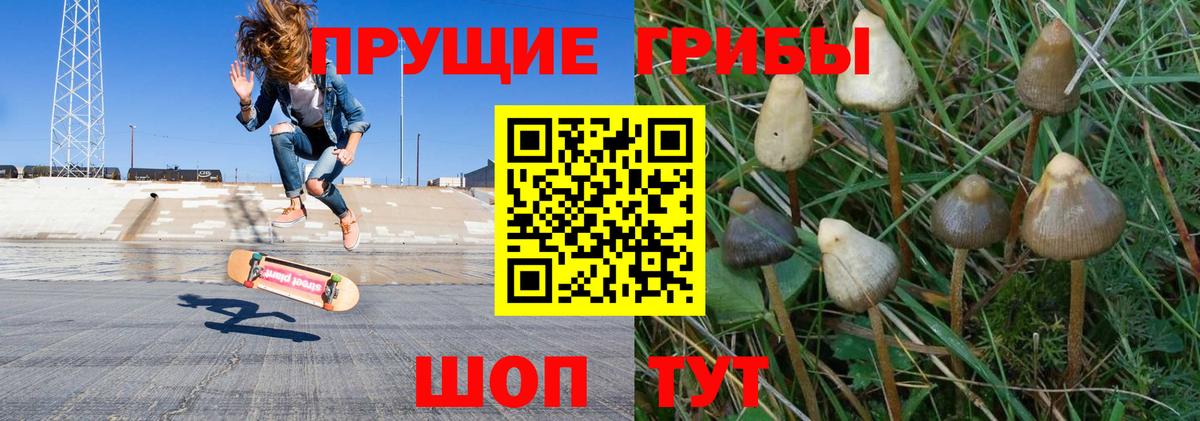 Псилоцибиновые грибы мицелий  дарнет шоп  Галлюциногенные грибы Cubensis  Сарапул  Вход с VPN 
